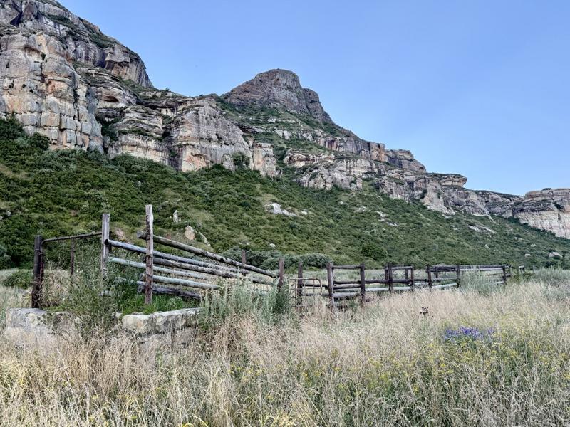 0 Bedroom Property for Sale in Fouriesburg Free State